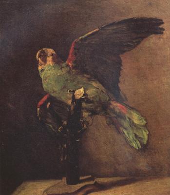 Vincent Van Gogh The Green Parrot (nn04) Sweden oil painting art